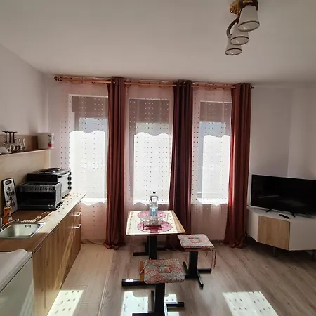 Pomiculturii 2 - Modern 1Br Apartment Timisoara * Тимишоара